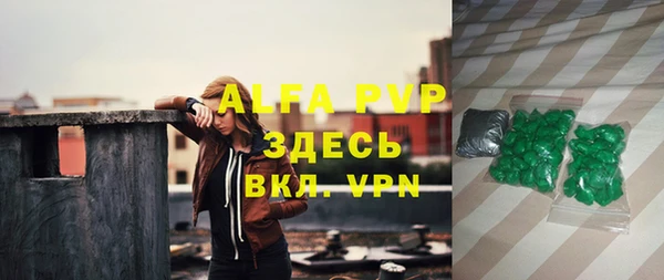 индика Медногорск