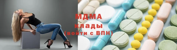 индика Медногорск