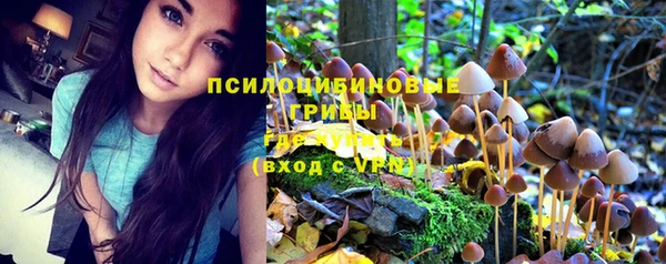 индика Медногорск