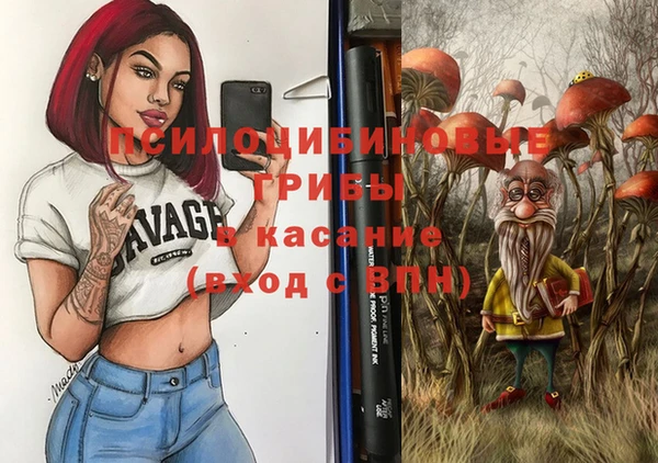 индика Медногорск