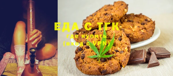 индика Медногорск