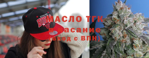 индика Медногорск