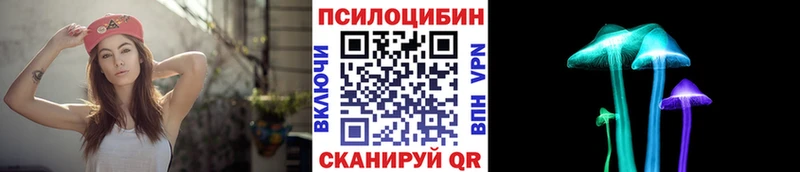 Псилоцибиновые грибы прущие грибы  Елабуга 