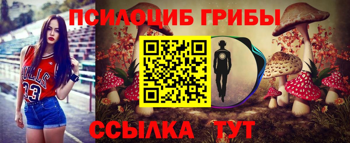 Псилоцибиновые грибы Psilocybe  Елабуга  Псилоцибиновые грибы ЛСД 