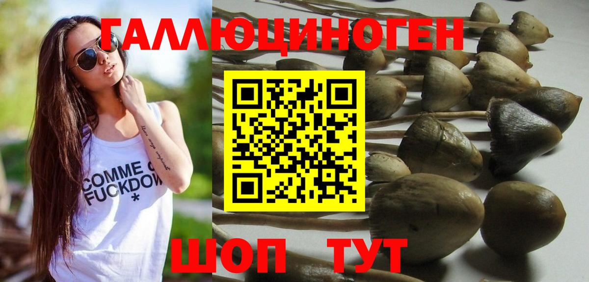 Галлюциногенные грибы Cubensis Елабуга