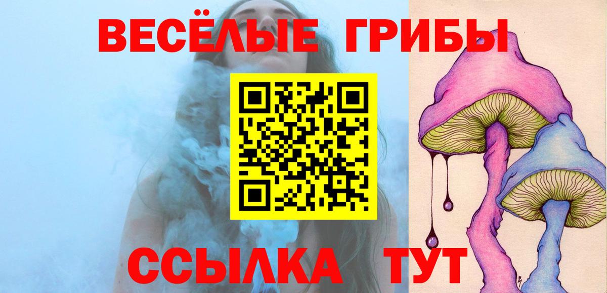 закладка  Псилоцибиновые грибы мицелий  Вход с VPN  Елабуга 